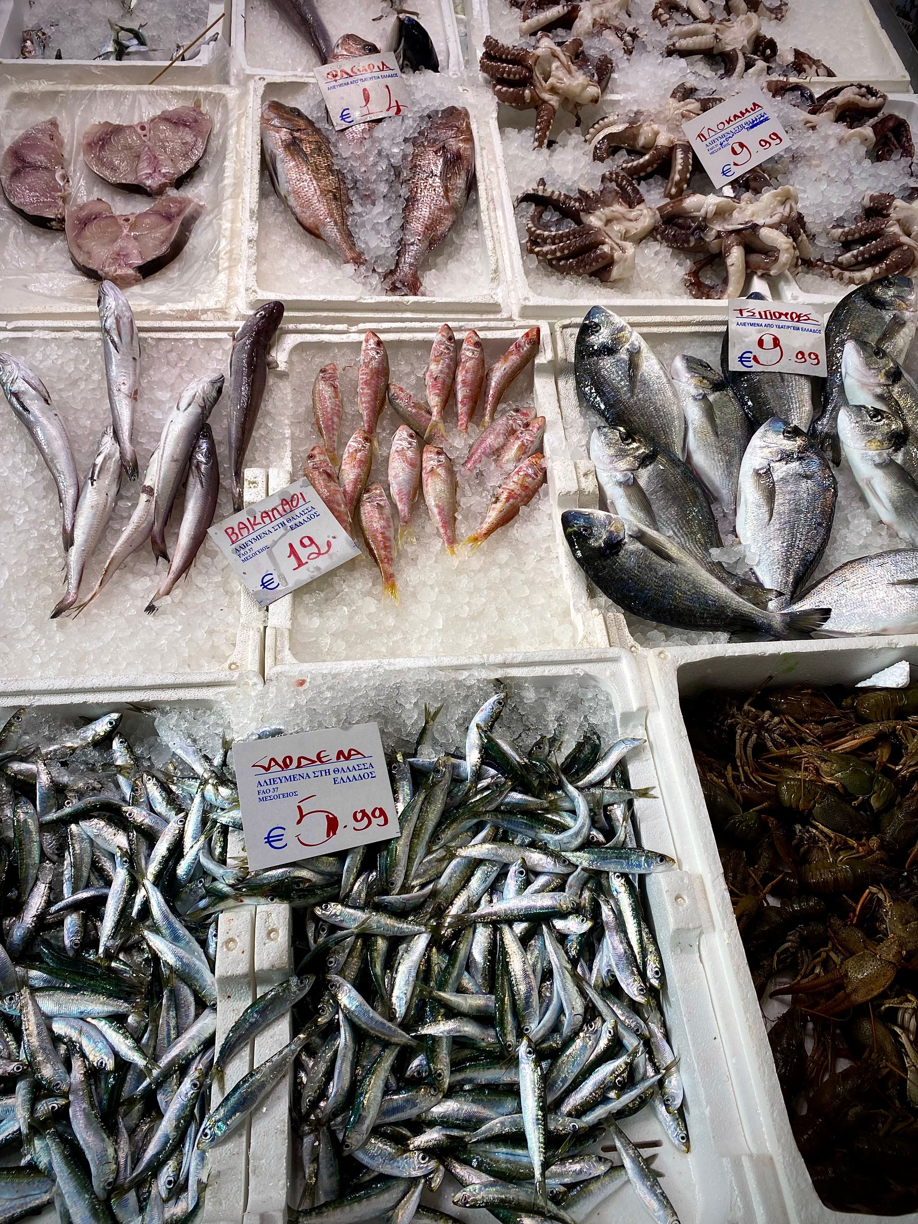 Fish and seafood displayed on ice at a Greek market, with price labels.